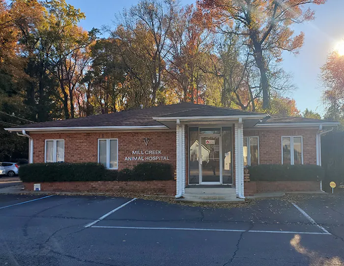 Millcreek Animal Hospital Picture 10