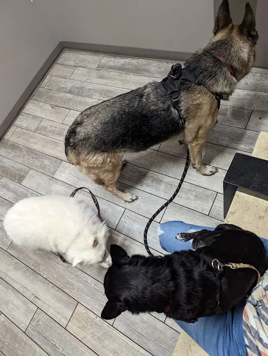 Millcreek Animal Hospital Picture 6