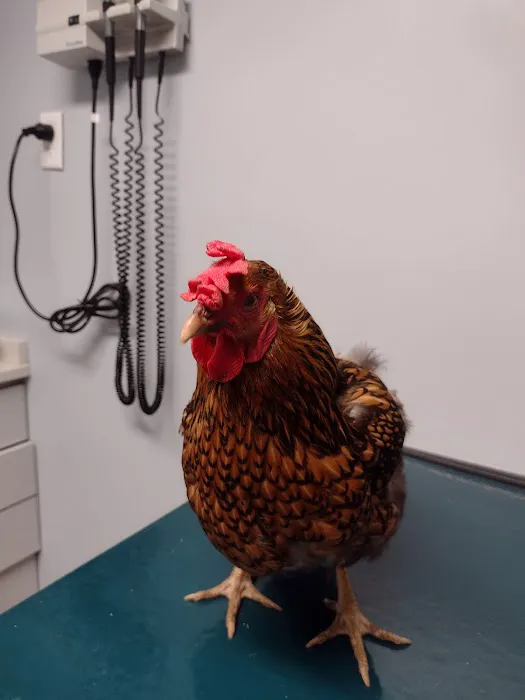 Lakeside Veterinary Picture 3