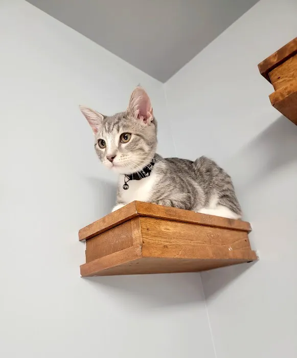 Lakeside Veterinary Picture 6