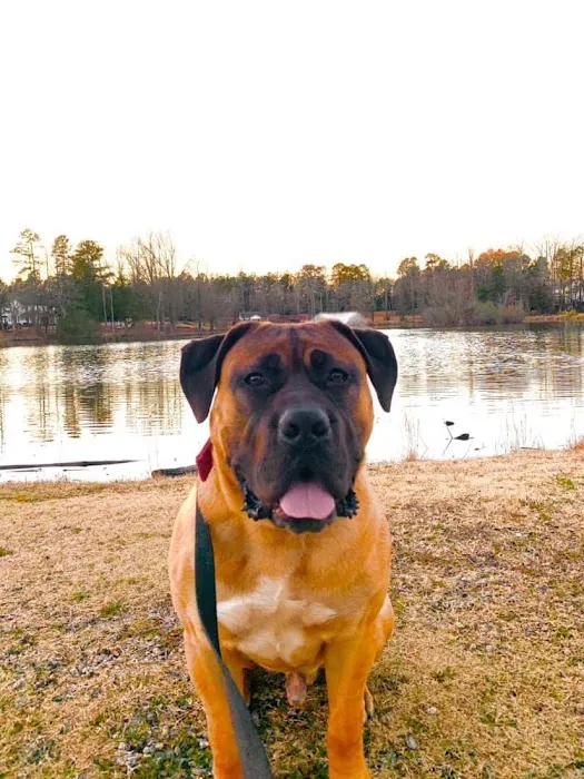 Lexington Animal Clinic Picture 3