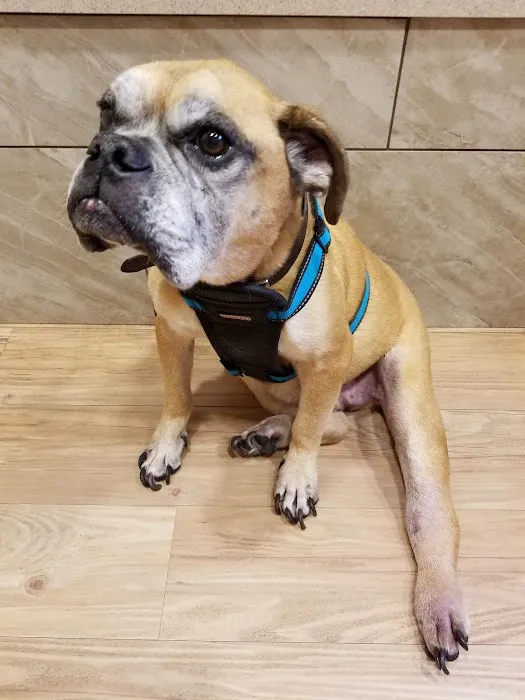 Lexington Animal Clinic Picture 4