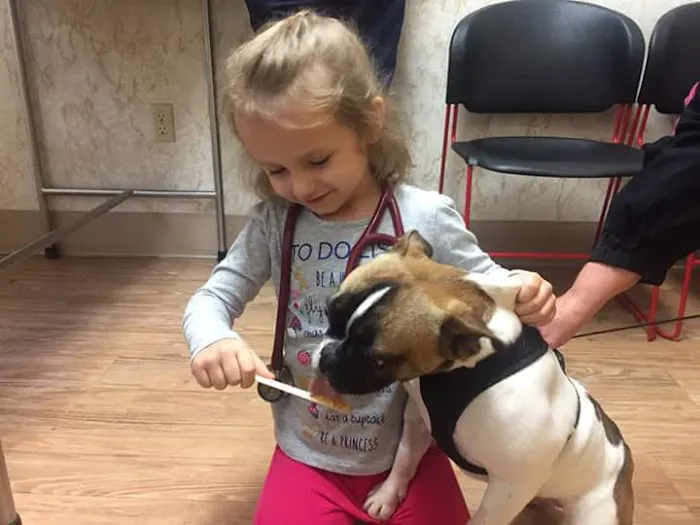 Lexington Animal Clinic Picture 6