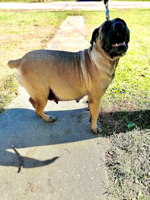 Lexington Animal Clinic Picture 8