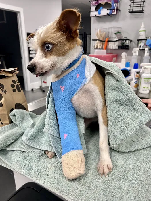 Sharp Mountain Animal Hospital Picture 1
