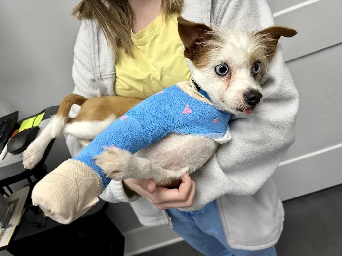 Sharp Mountain Animal Hospital Picture 2