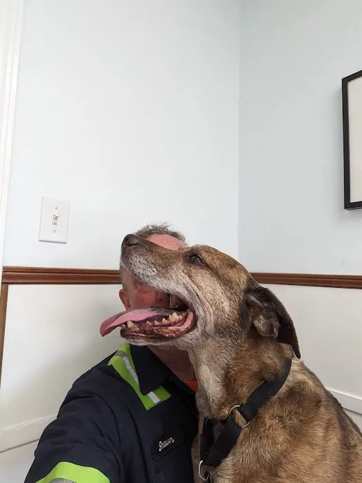 Ball Ground Animal Hospital Picture 2
