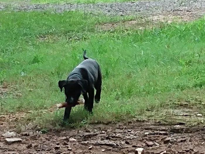Ball Ground Animal Hospital Picture 8
