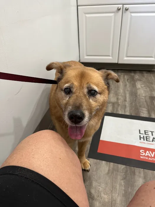 College Road Animal Hospital Picture 1
