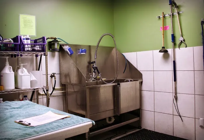 College Road Animal Hospital Picture 5