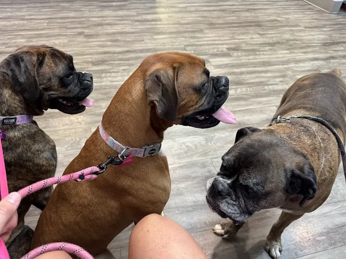 College Road Animal Hospital Picture 7
