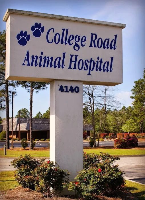 College Road Animal Hospital Picture 8