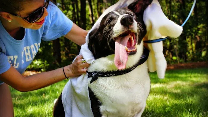College Road Animal Hospital Picture 9