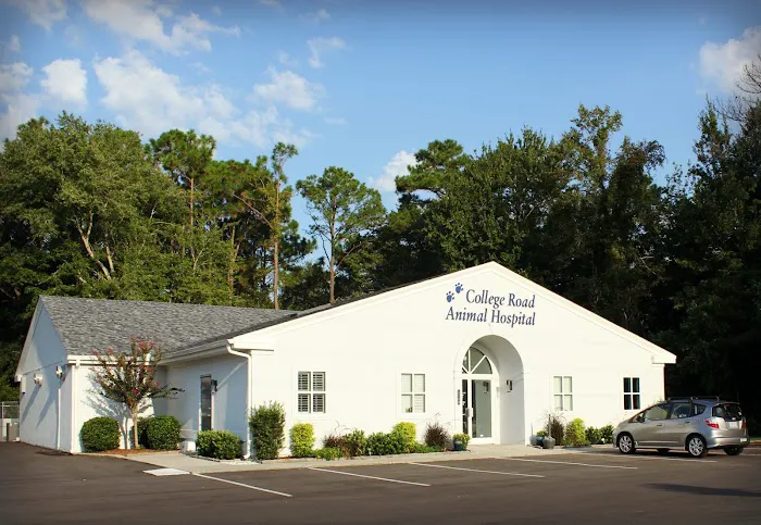 College Road Animal Hospital Picture 10