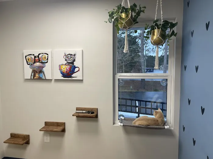 Sandy Paws Animal Hospital Picture 4