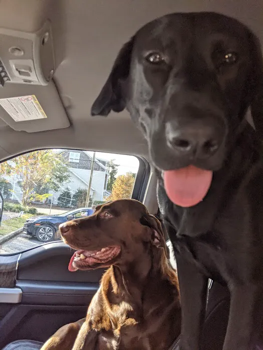 Port City Animal Hospital Picture 3