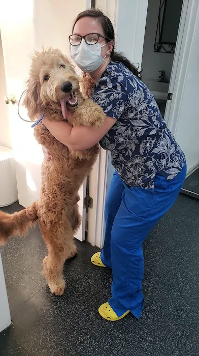 Coastal Carolina Animal Hospital Picture 1