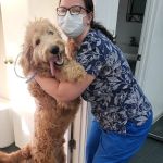 Coastal Carolina Animal Hospital