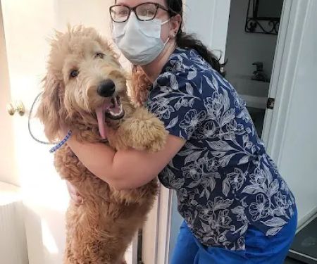 Coastal Carolina Animal Hospital
