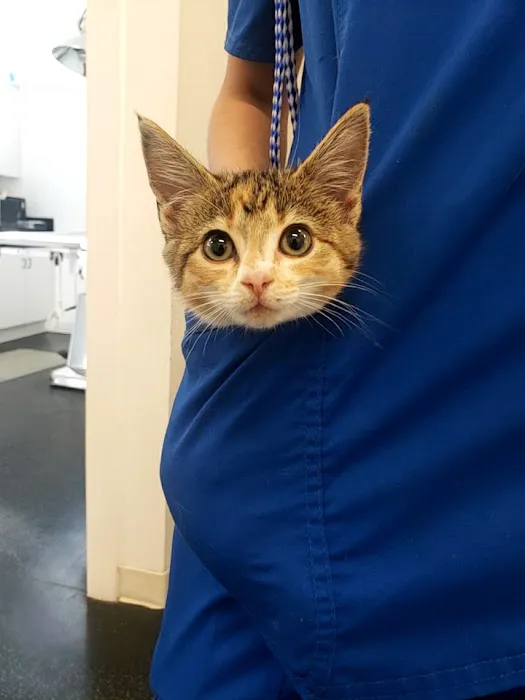 Coastal Carolina Animal Hospital Picture 7