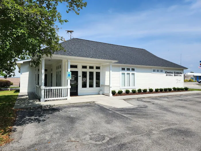 Coastal Carolina Animal Hospital Picture 8