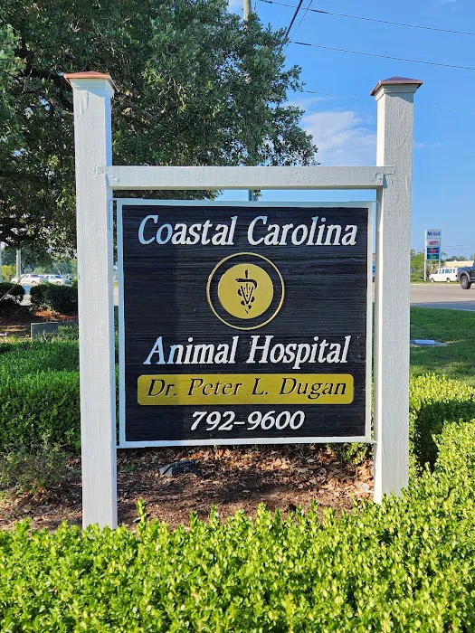 Coastal Carolina Animal Hospital Picture 9