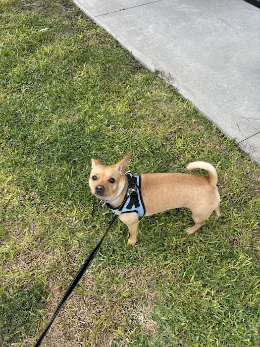 Bridges Professional Park Animal Hospital Picture 4