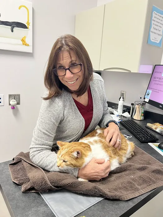 Felines First Veterinary Hospital Picture 7