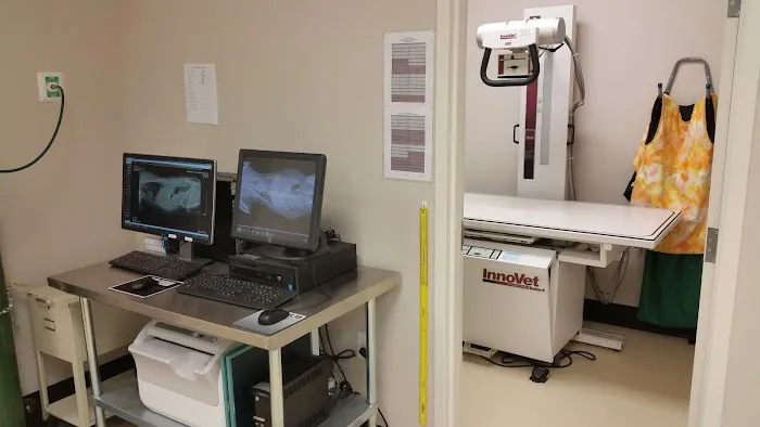 Beaufort Veterinary Hospital Picture 5