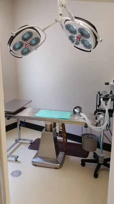Beaufort Veterinary Hospital Picture 7