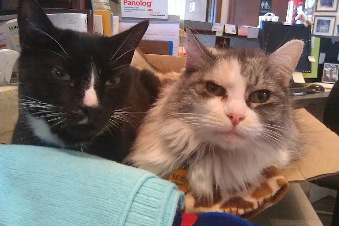 Live Oak Veterinary Hospital Picture 5
