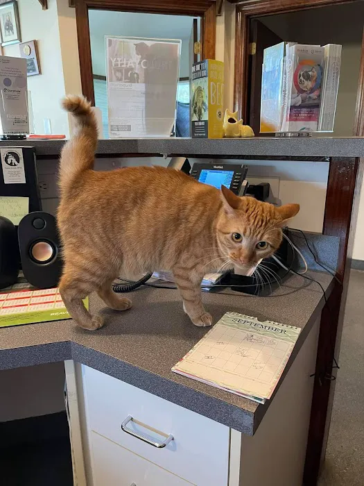 Live Oak Veterinary Hospital Picture 7