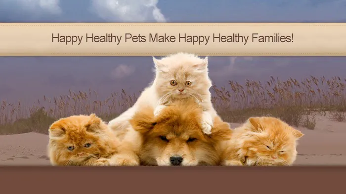 Live Oak Veterinary Hospital Picture 2