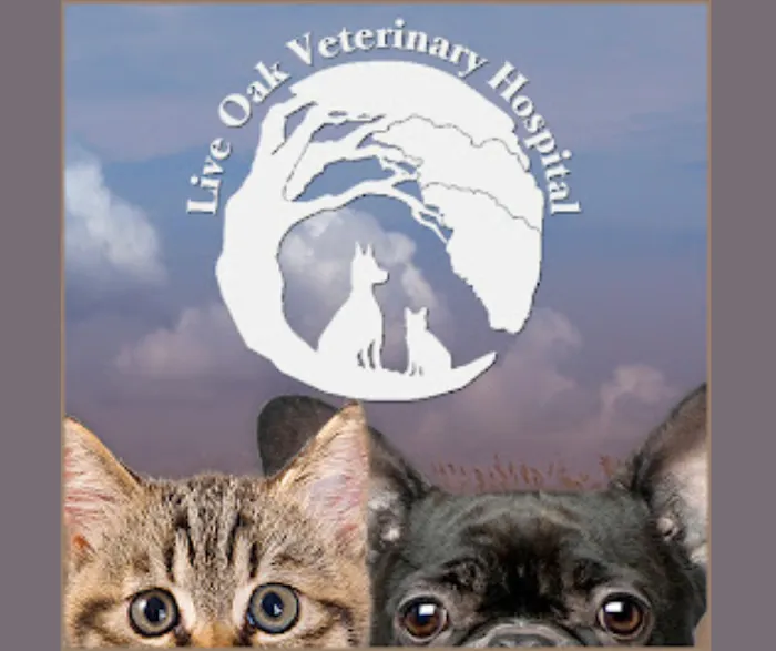 Live Oak Veterinary Hospital Picture 10