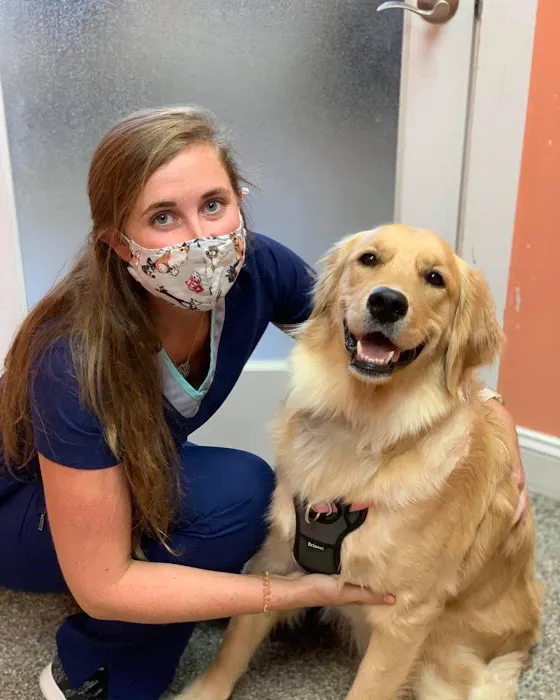 Austin Veterinary Animal Hospital Picture 3