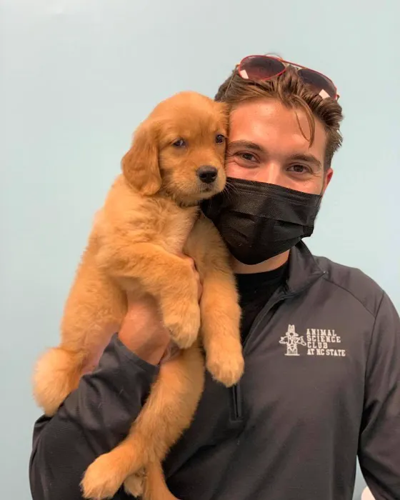 Austin Veterinary Animal Hospital Picture 2