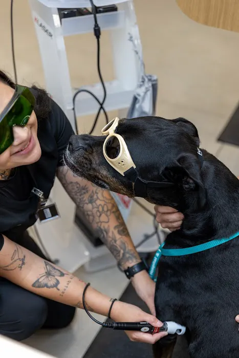 Verdigris Pet Hospital and Emergency Care Picture 7