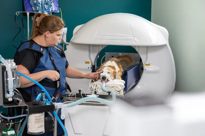 Verdigris Pet Hospital and Emergency Care Picture 6
