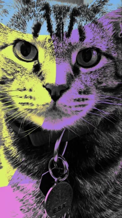 House-Call Veterinary Service Picture 5