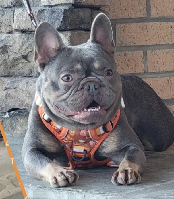 Russell Veterinary Services Picture 10