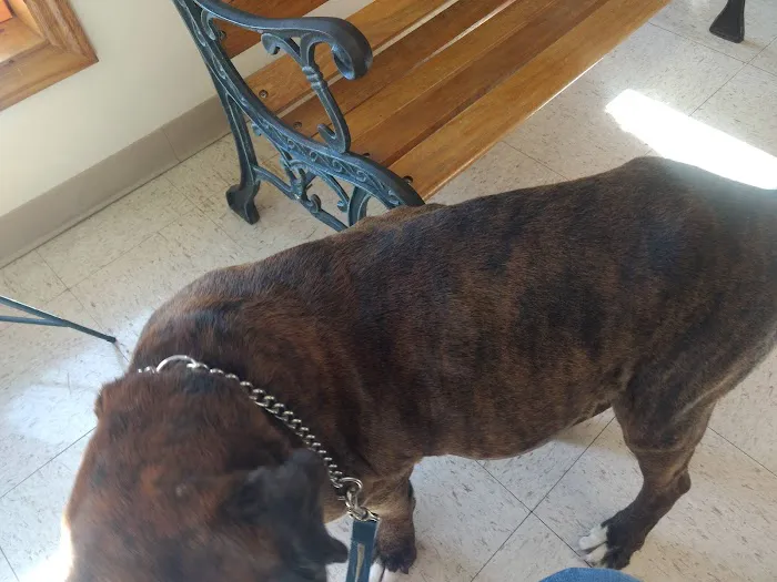 Russell Veterinary Services Picture 7