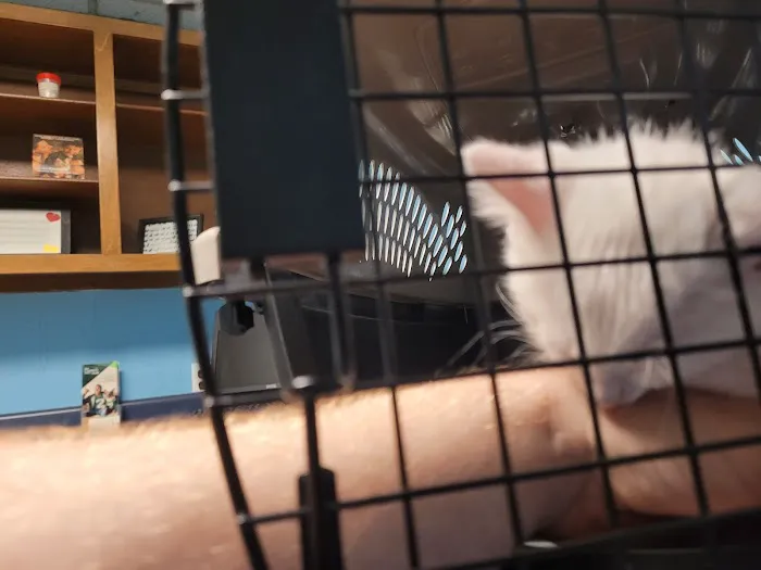 Harrogate Hospital for Animals Picture 5