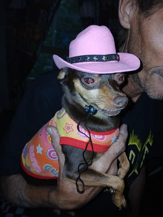 La Follette Veterinary Services Picture 3