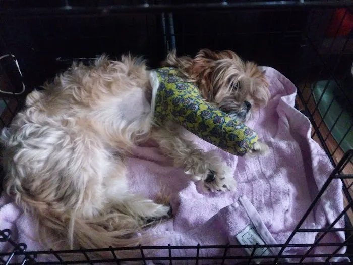 Jacksboro Veterinary Services Picture 10