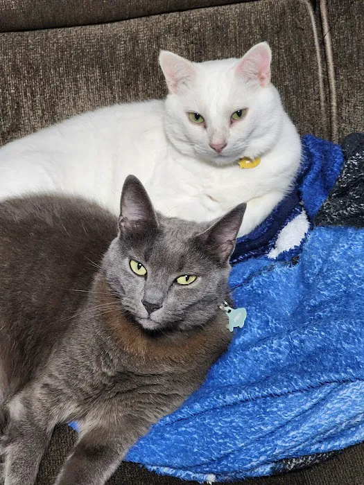 Highland Veterinary Hospital Picture 4