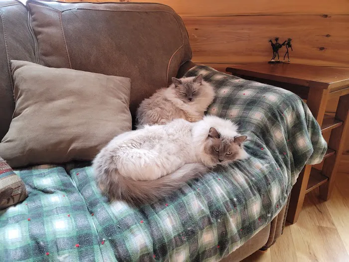 Highland Veterinary Hospital Picture 8