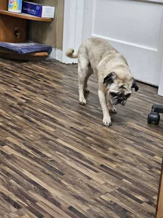 Highland Veterinary Hospital Picture 7