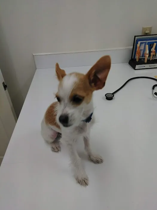 Bluegrass Animal Hospital Picture 1