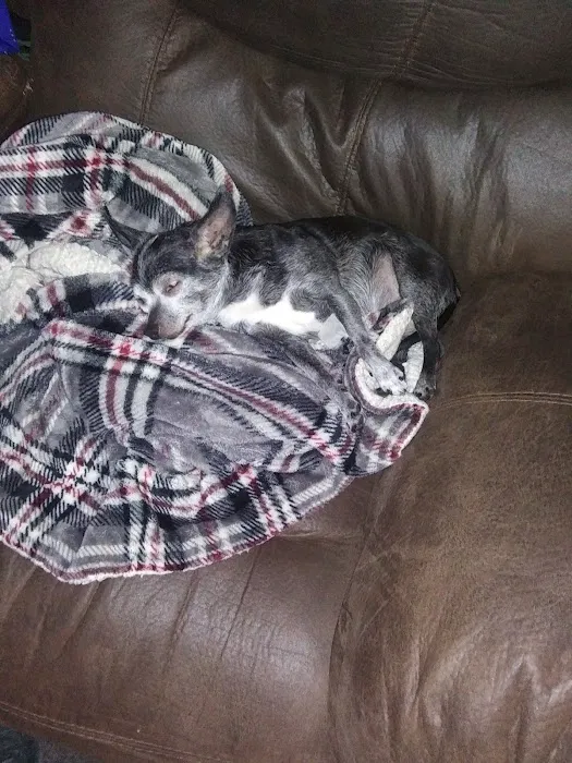 Bluegrass Animal Hospital Picture 4