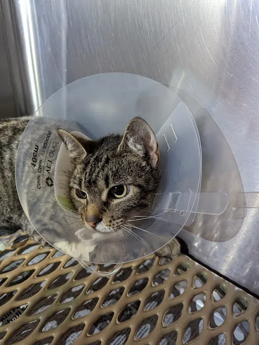 Cumberland Animal Hospital Picture 7
